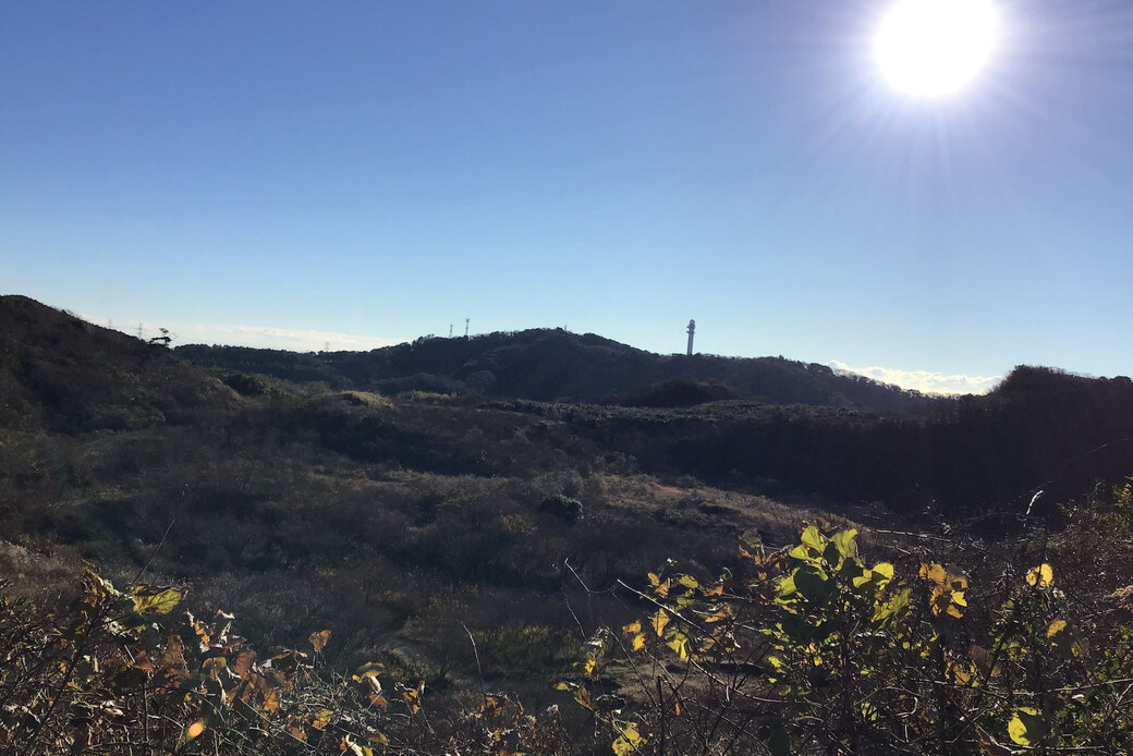 パタゴニア有志一同ご来場!湘南国際村めぐりの森.Silvaの森盛りダイアリー アイキャッチ