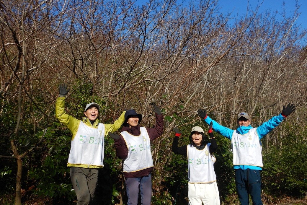 つる性木本の役割.湘南国際村めぐりの森.Silvaの森盛りダイアリー 3月19日日曜日 アイキャッチ
