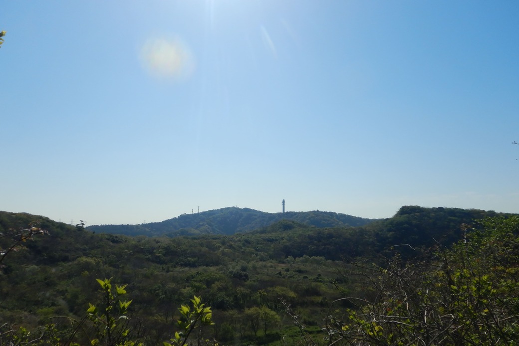 大磯の竹杭でSDGs貢献!湘南国際村めぐりの森.Silvaブログ.2023.4.10 アイキャッチ