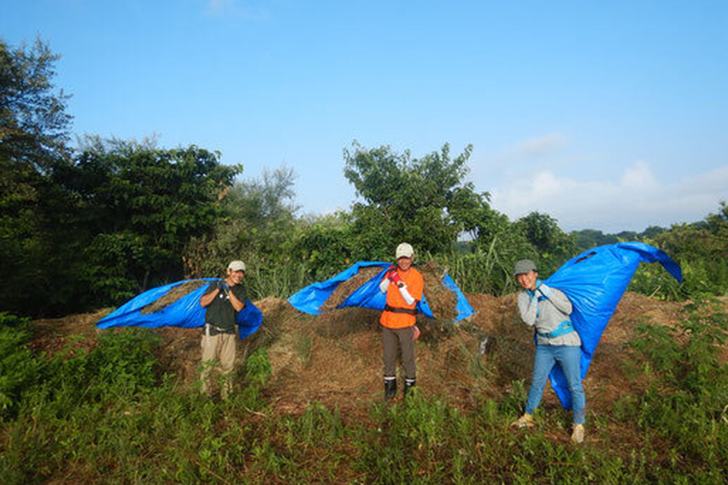 産地直送の風と生きる!!湘南国際村めぐりの森.Silvaの知る和塾ブログ 8月6日日曜日 アイキャッチ