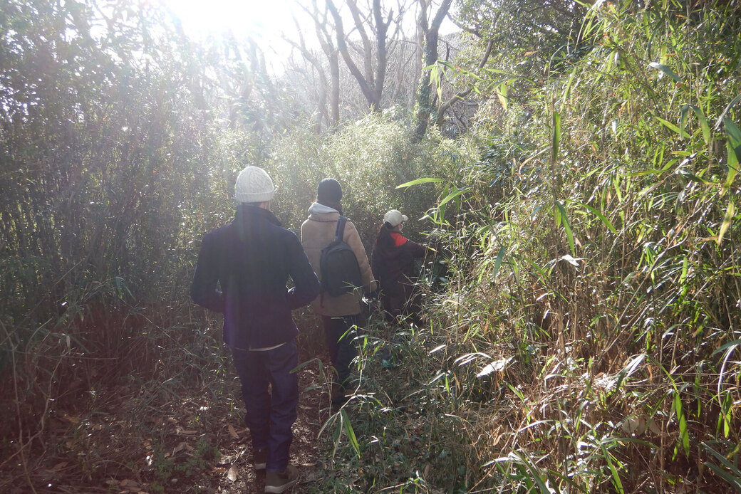 イギリスから日本の森への恋文!三重県助成の映像の芸術作品へシルワが出演しました!! アイキャッチ
