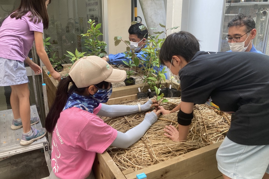 大田区立赤松小学校にて、東急建設株式会社による森林再生プロジェクト実働!!第二弾 アイキャッチ