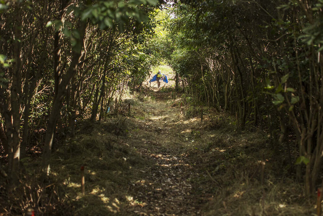 第25回 湘南国際村めぐりの森植樹&育樹祭.参加者募集のご案内!! アイキャッチ