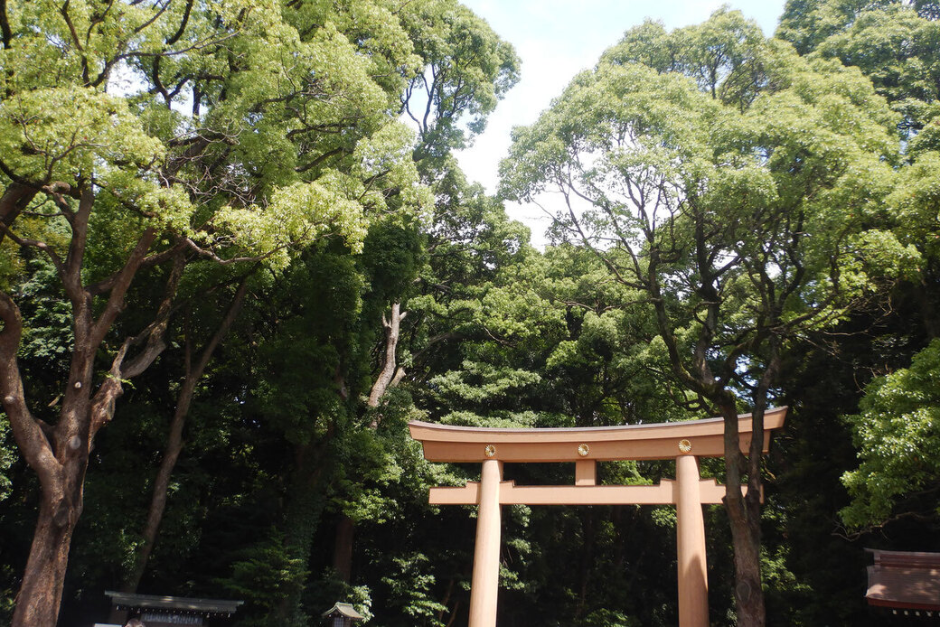 ワンゼネレーション様企画『 11/23 明治神宮の森&清澄庭園ガイドツアー』申込み受付が開始されました! アイキャッチ