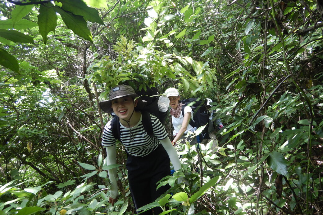 子供たちからの大きなギフト!湘南国際村めぐりの森.Silvaの知る和塾ブログ 6月27日木曜日 アイキャッチ