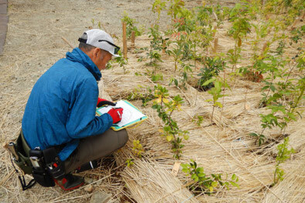 植樹祭の成果を成績発表!湘南国際村めぐりの森.Silvaの知る和塾ブログ 5月19日日曜日 アイキャッチ