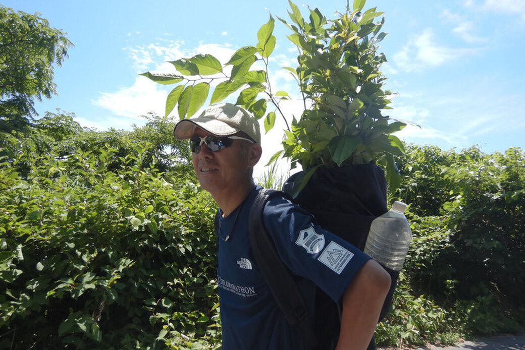 存在を認めること.湘南国際村めぐりの森.SilvaのMiyawakiMethod知る和塾ブログ 6月15日土曜日 アイキャッチ