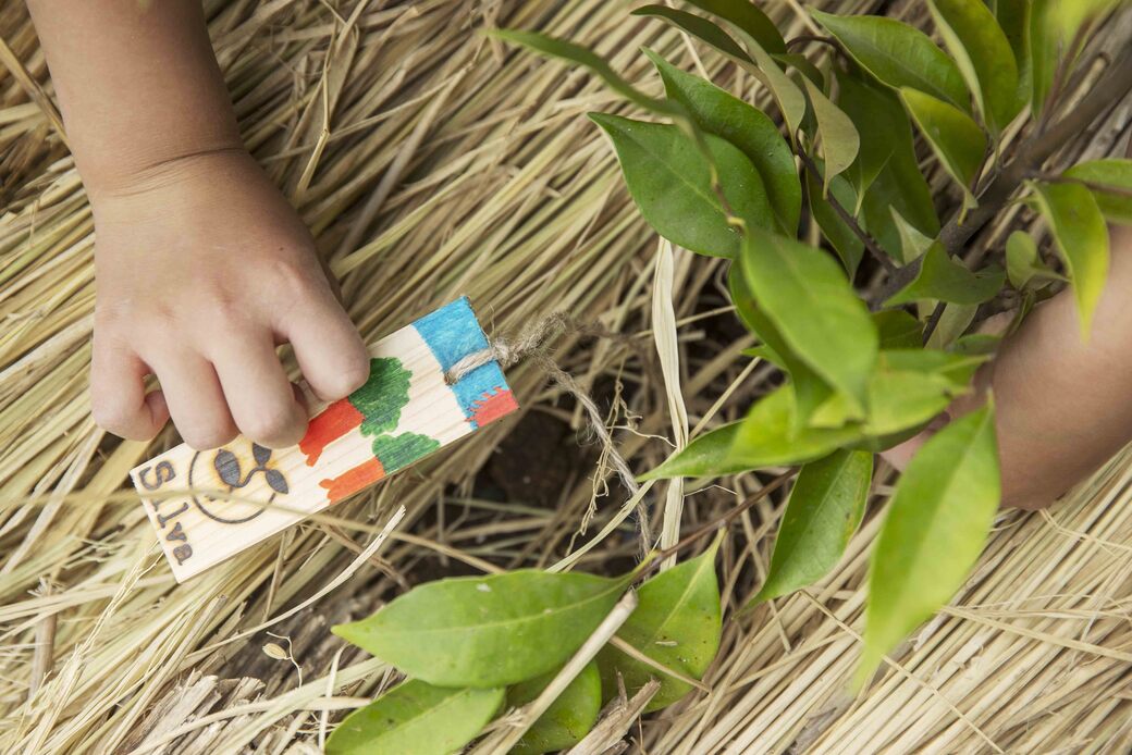 【メディア掲載】Yahoo! JAPAN SDGsニュース 「木を植える」ことで見えてくるもの アイキャッチ