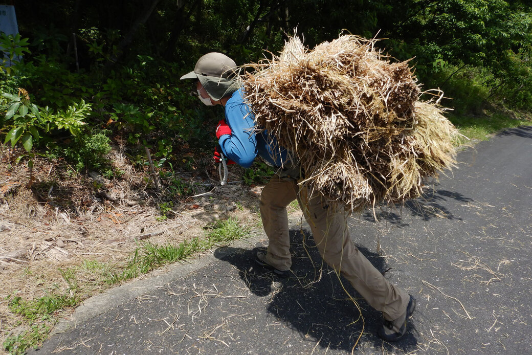 2024.6.11 顧問就任 平野侑博士(農学) アイキャッチ