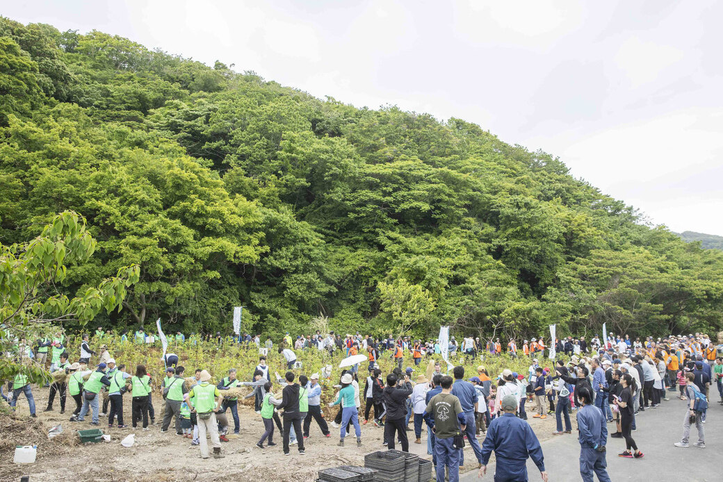 湘南国際村めぐりの森が環境省の「自然共生サイト」に認定決定!! アイキャッチ