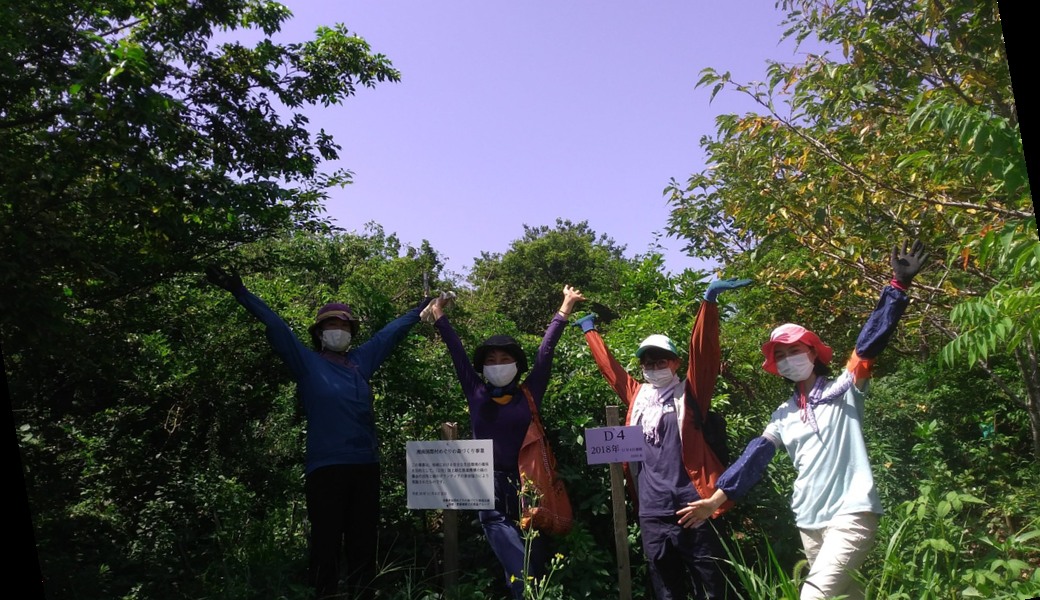 湘南国際村めぐりの森　植樹・育樹活動（野外軽作業） アイキャッチ