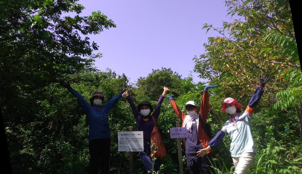 湘南国際村めぐりの森　植樹・育樹活動（野外軽作業） アイキャッチ