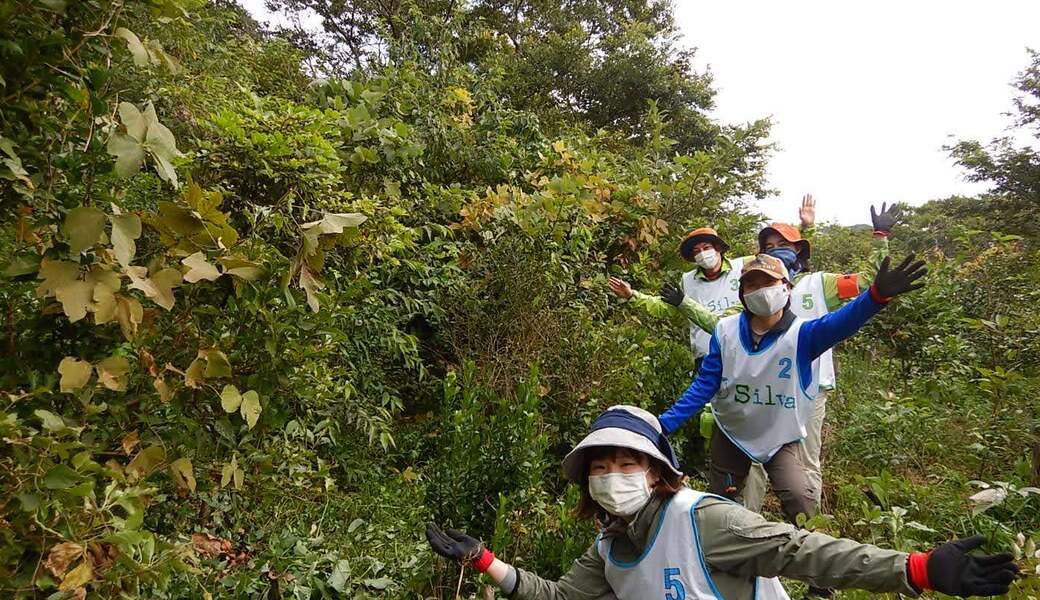 湘南国際村めぐりの森　植樹・育樹活動（野外軽作業） アイキャッチ