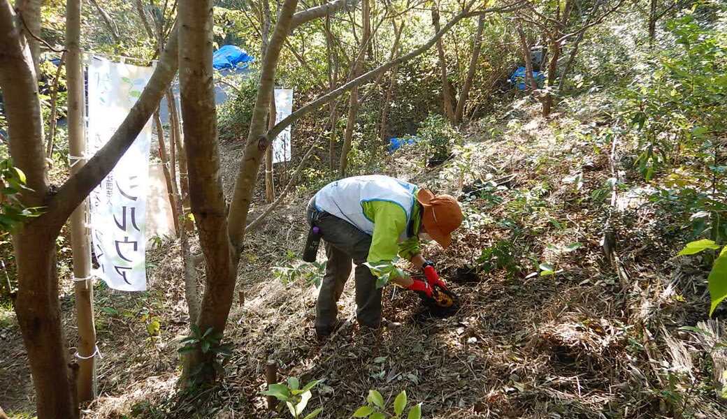 湘南国際村めぐりの森　植樹・育樹活動（野外軽作業） アイキャッチ