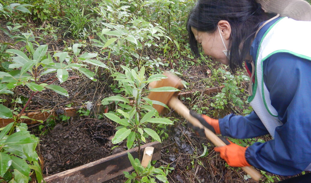 湘南国際村めぐりの森　植樹・育樹活動（野外軽作業） アイキャッチ
