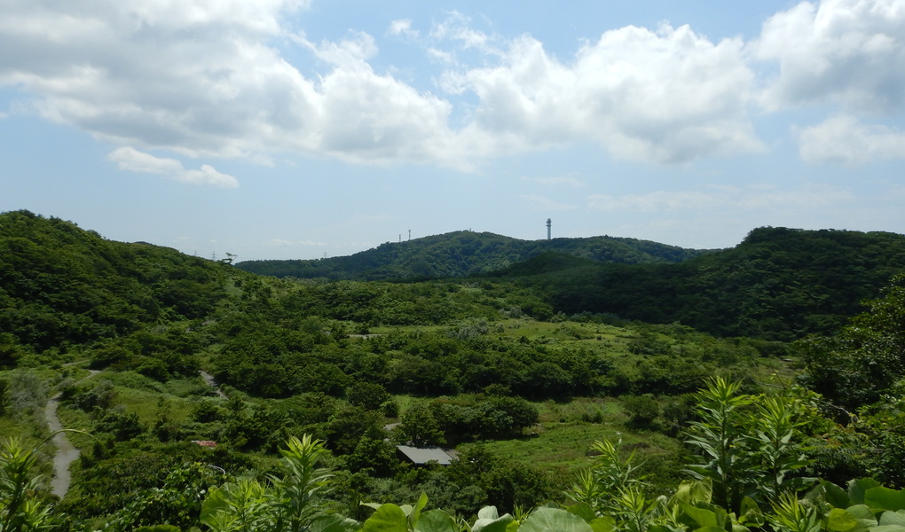 湘南国際村めぐりの森　植樹・育樹活動（野外軽作業） アイキャッチ