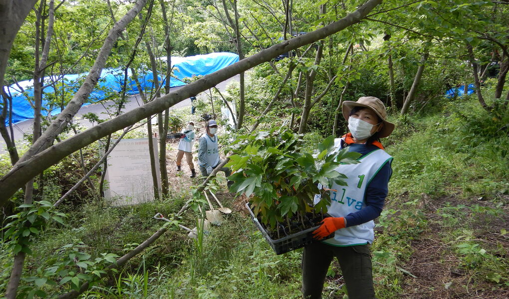 湘南国際村めぐりの森　植樹・育樹活動（野外軽作業） アイキャッチ