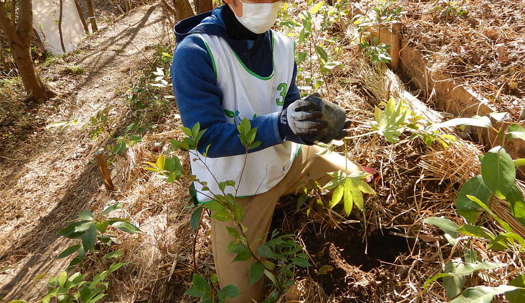 湘南国際村めぐりの森　植樹・育樹活動（野外軽作業） アイキャッチ