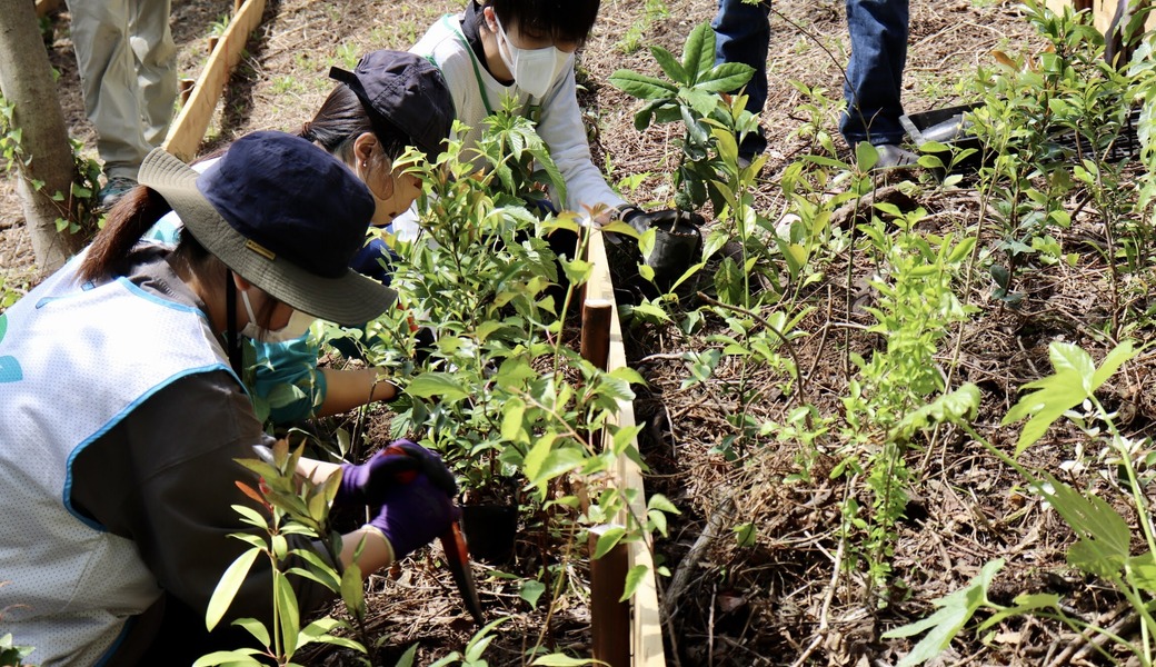 湘南国際村めぐりの森　植樹・育樹活動（野外軽作業） アイキャッチ