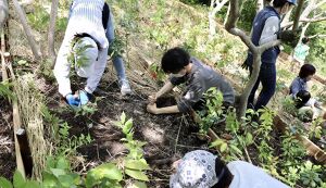 湘南国際村めぐりの森　植樹・育樹活動（野外軽作業） アイキャッチ