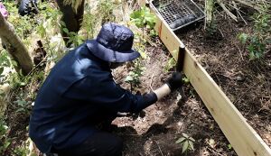 湘南国際村めぐりの森　植樹地準備（野外軽作業） アイキャッチ