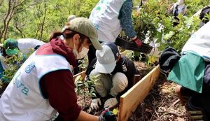 第21回　湘南国際村めぐりの森植樹祭 アイキャッチ