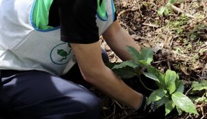 湘南国際村めぐりの森　森づくり野外軽作業 アイキャッチ