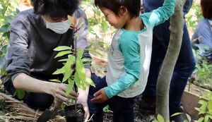 湘南国際村めぐりの森　森づくり野外軽作業 アイキャッチ