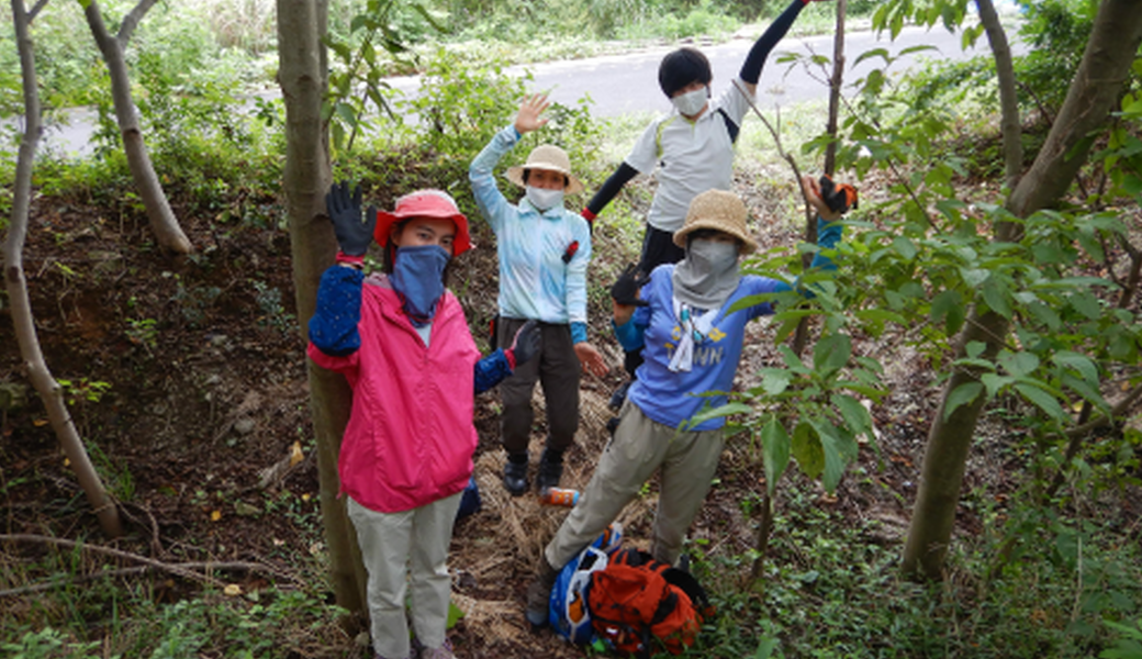 湘南国際村めぐりの森　育樹活動（野外軽作業） レポート