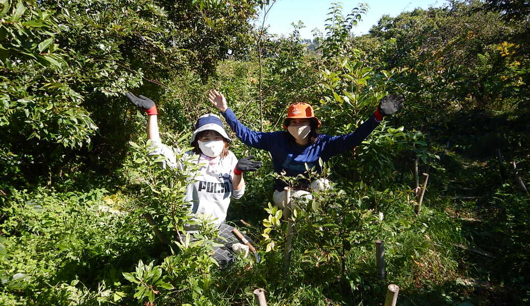 湘南国際村めぐりの森　植樹・育樹活動（野外軽作業） レポート
