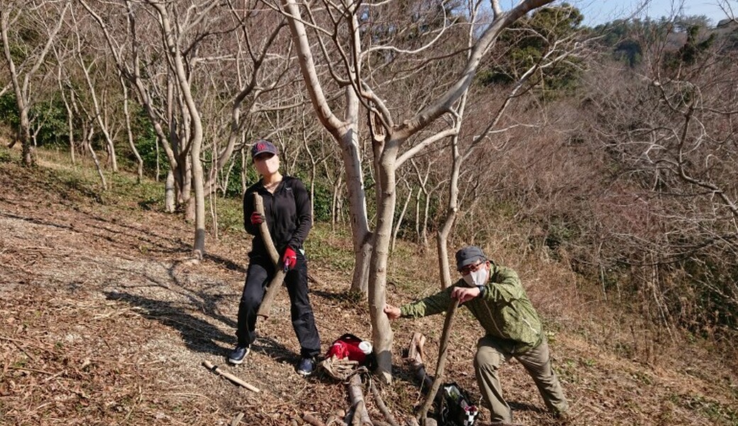 湘南国際村めぐりの森　植樹・育樹活動（野外軽作業） レポート