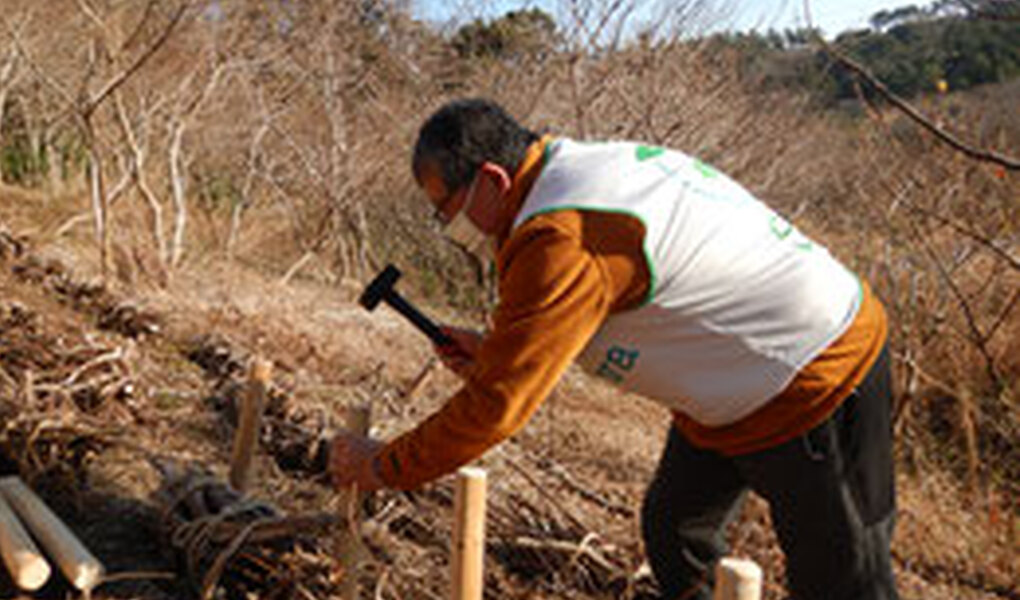 湘南国際村めぐりの森　植樹・育樹活動（野外軽作業） レポート