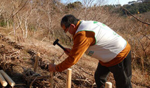 湘南国際村めぐりの森　植樹・育樹活動（野外軽作業） アイキャッチ