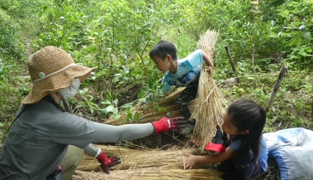 湘南国際村めぐりの森　植樹・育樹活動（野外軽作業） レポート