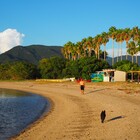 竹林組 プロフィール