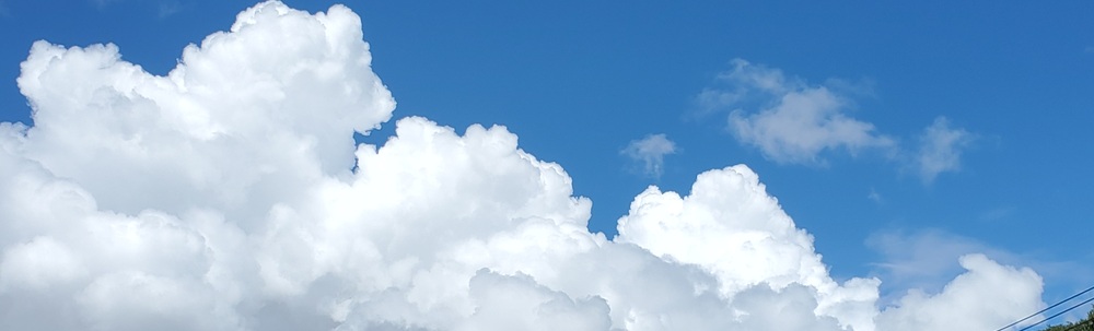 ポケごみblue.J カバー