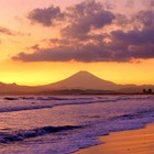 ポケごみBe-Side プロフィール