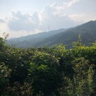 to.others プロフィール