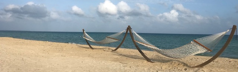 ポケごみメルシィアイ株式会社 カバー