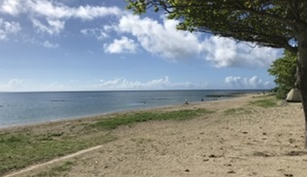 マーメイドビーチ星屑収集 アイキャッチ