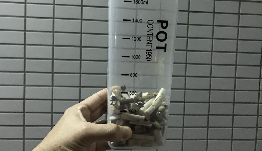 pot contentラン レポート