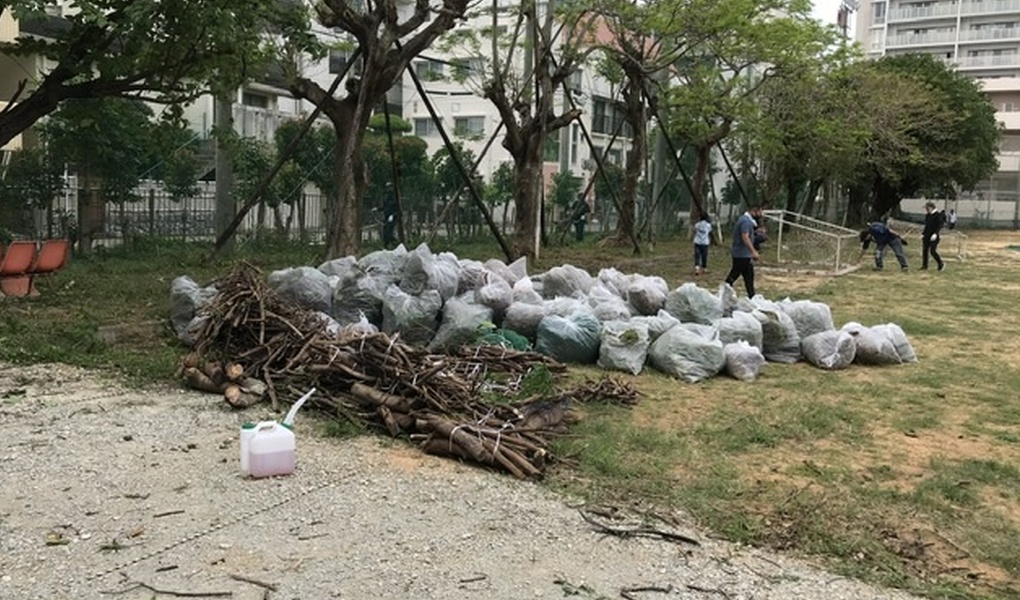 とっくりきわた地域大清掃活動へ合流 レポート