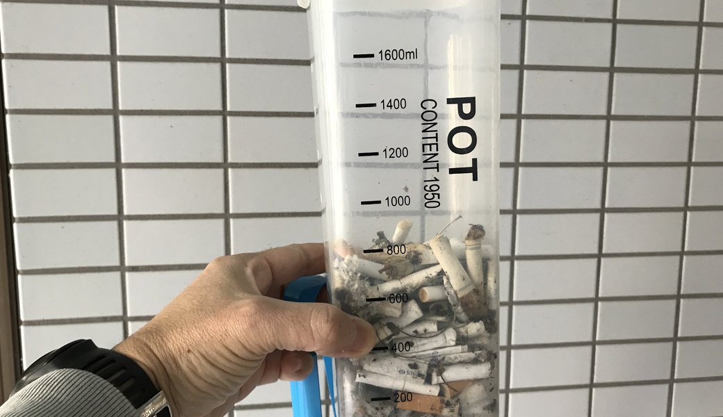 初詣星屑収集 レポート