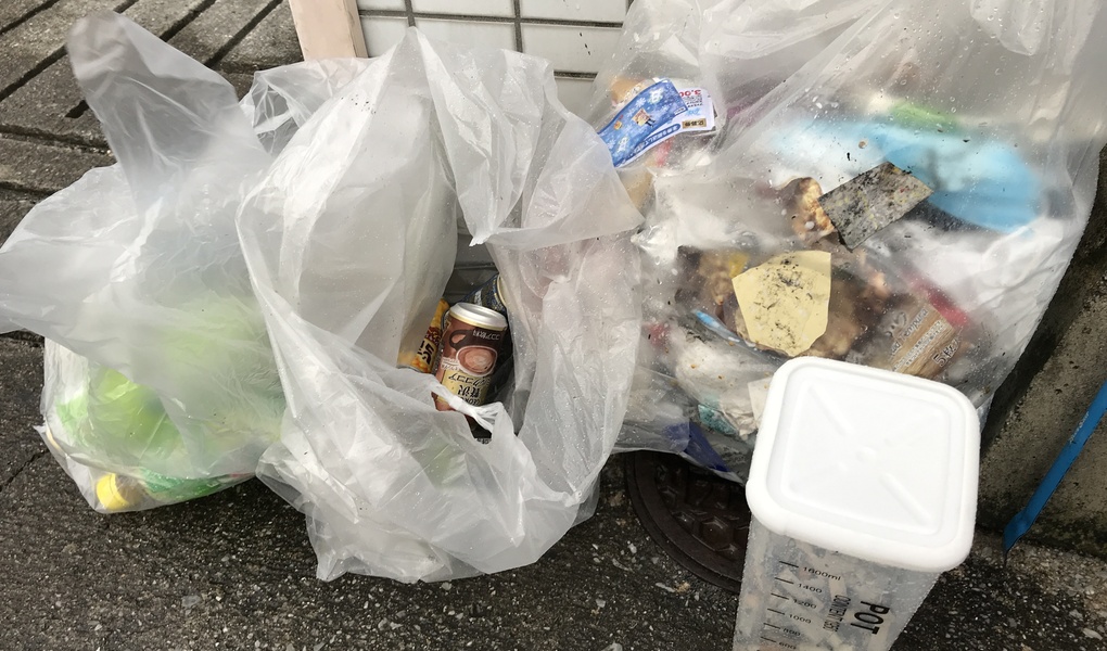 日曜朝星屑収集 レポート