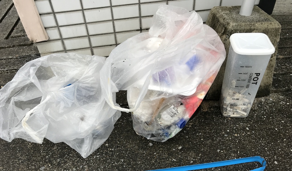 日曜朝星屑収集 レポート