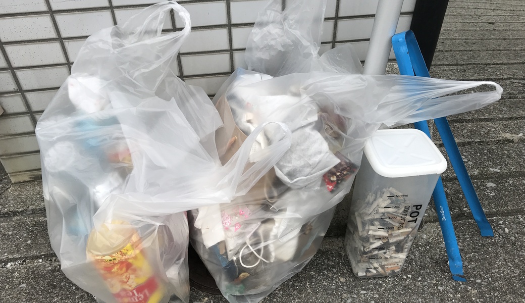 祝日朝星屑収集 レポート