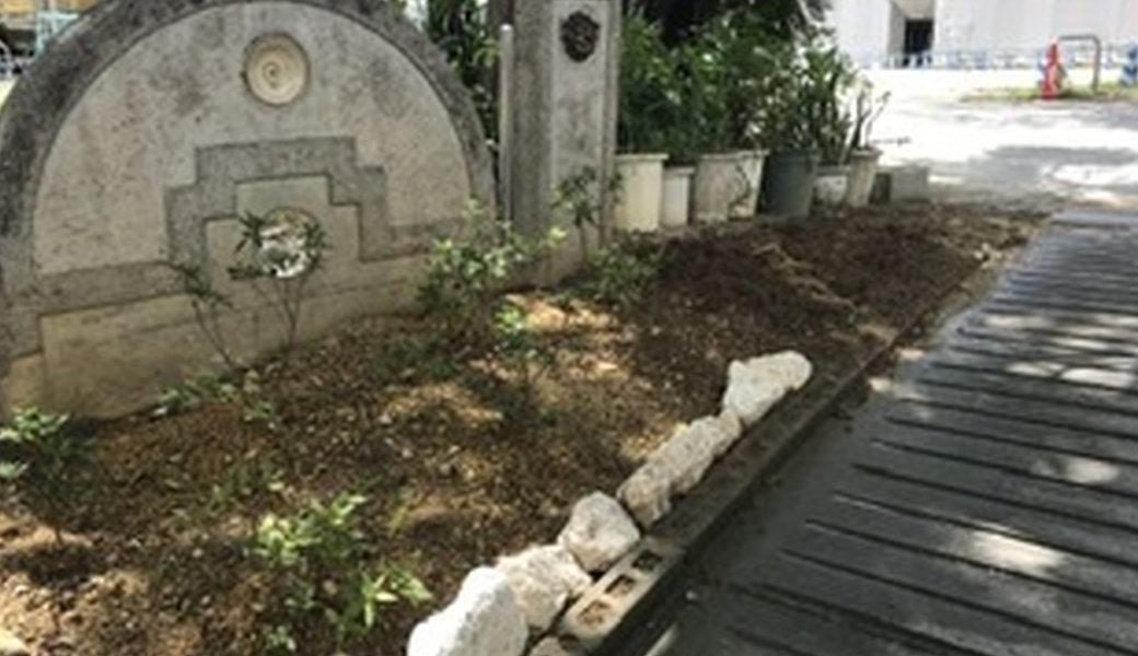 日曜朝星屑収集 レポート