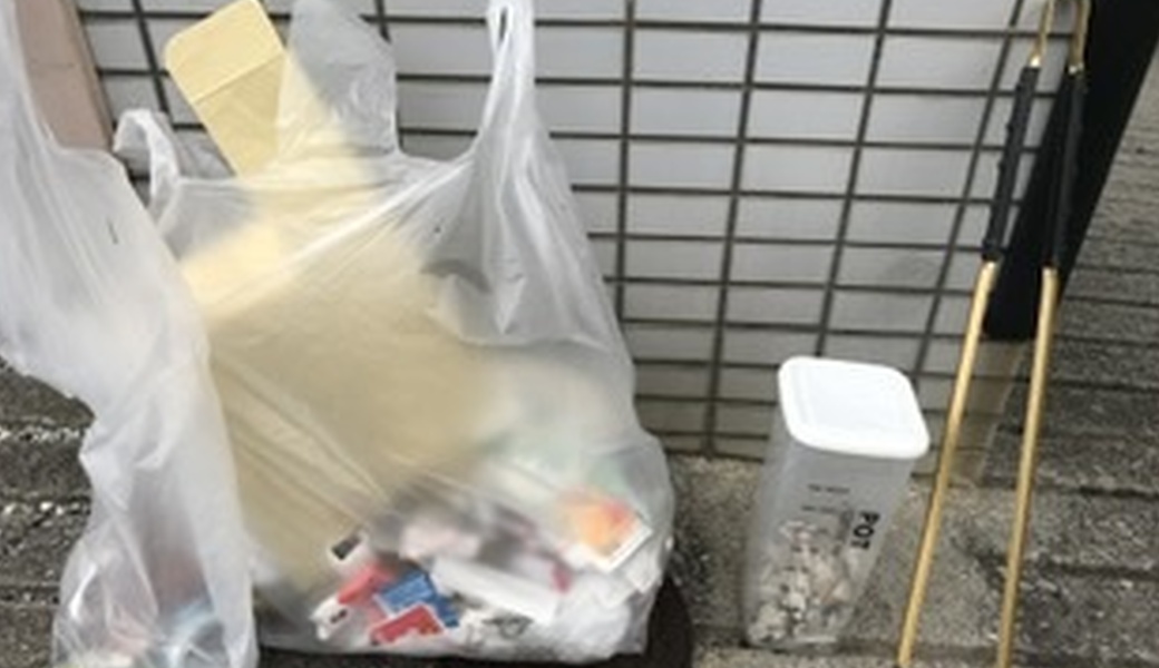 朝の星屑収集 レポート