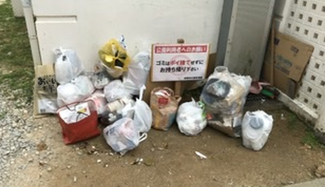 朝の星屑収集 レポート