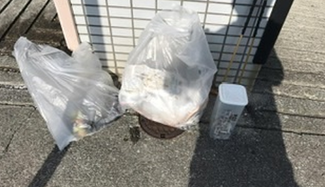 日曜朝星屑収集 レポート